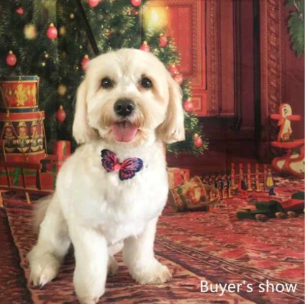 Adjustable Butterfly Bowties