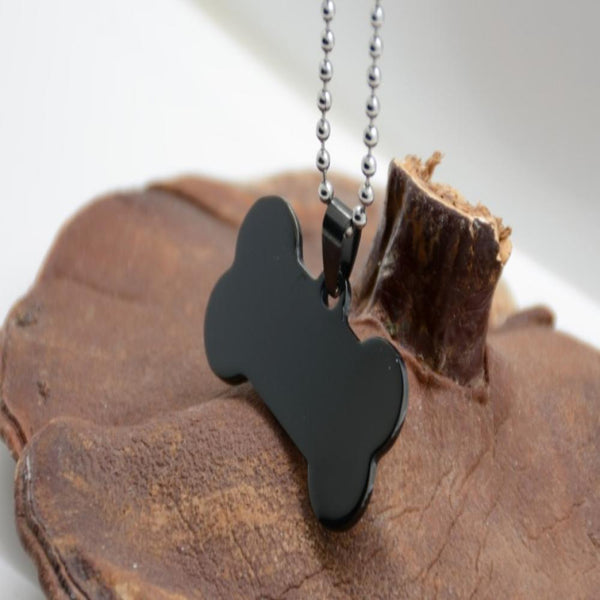 Double Sided Pet ID Tag