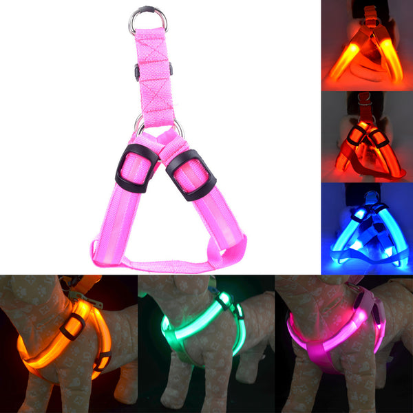 Nylon LED Dog Harness