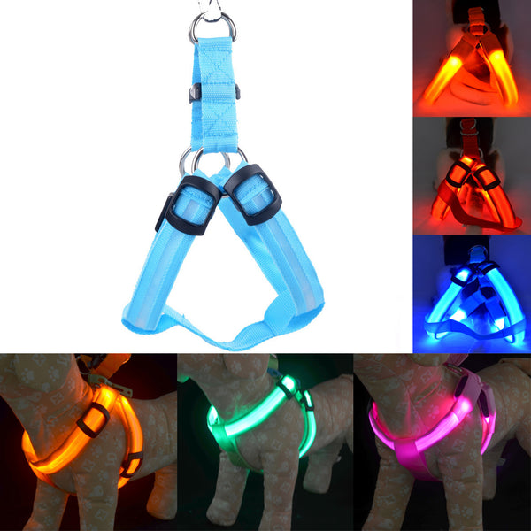 Nylon LED Dog Harness