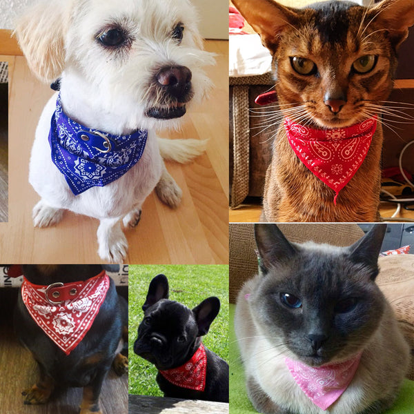 Adjustable Pet Collar Bandana
