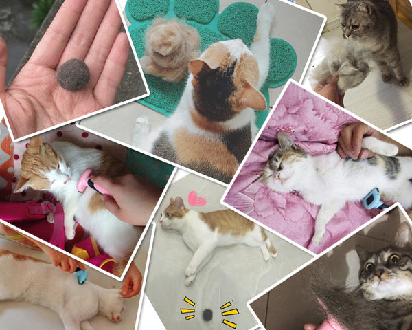 Combs Dog Hair Remover