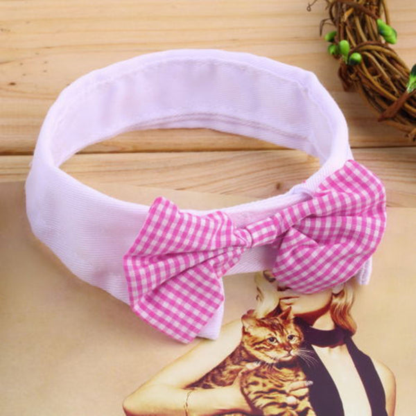 Puppy Teddy Bow Tie