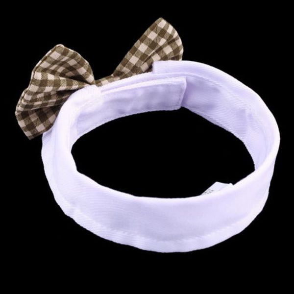 Puppy Teddy Bow Tie