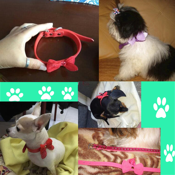Knit Bowknot Leather Collars