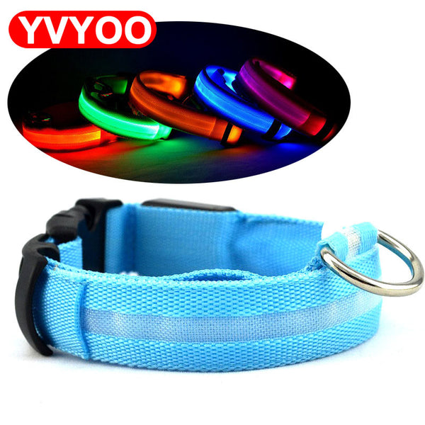 Night Flashing Glowing Pet Collar