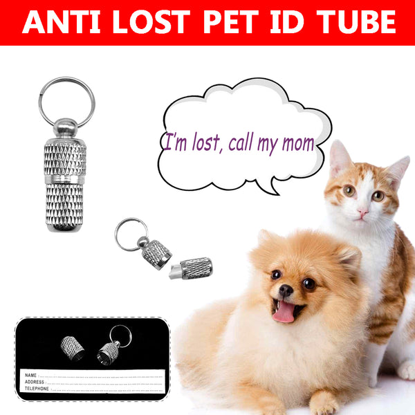 Personalized Engraved Dog Collar