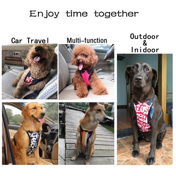 Auto Dog Car Safety Harness