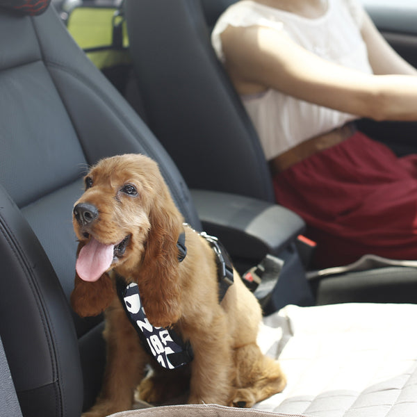 Auto Dog Car Safety Harness