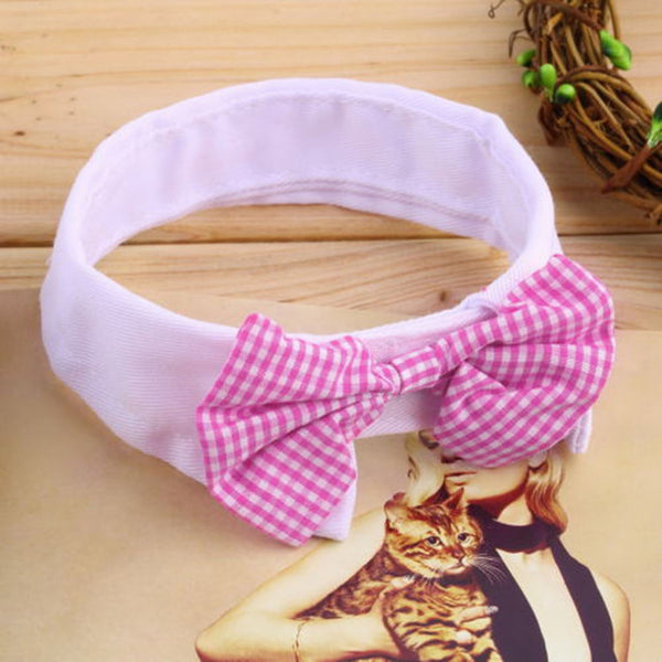 Puppy Teddy Bow Tie