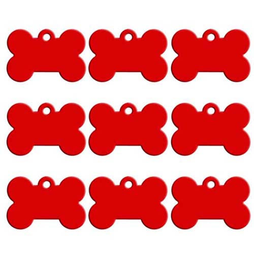 Personalized Bone Dog ID Tag