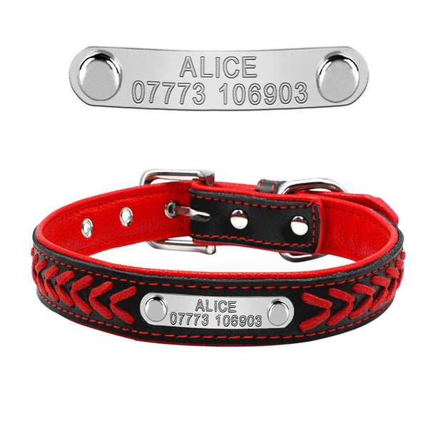 Personalized Engraved Dog Collar